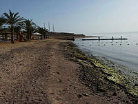 $field.value